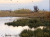 Panoramica Oasi dei Variconi